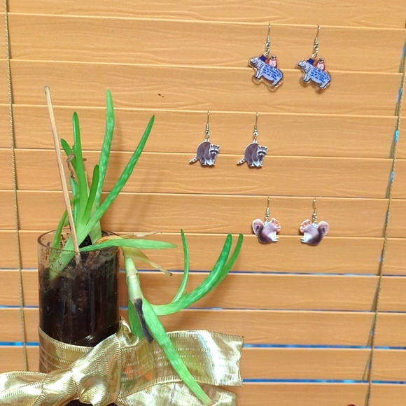 NWT/IP 🤩 (unbranded) 🐕🦛🦝🐿️⭐ AWESOME ANIMAL⭐🐿️🦝🦛🐕acrylic dangle earrings - Picture 1 of 6